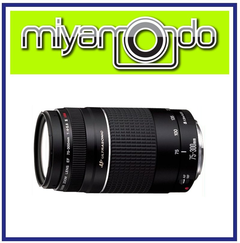 NEW Canon EF 75-300mm F4-5.6 III USM Lens NEW Canon EF 75-300mm F4-5.6 III USM Lens