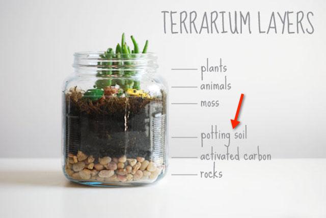 caridinex special terrarium potting soil mix succulent plant garden aquacult 1603 10 aquacult@2