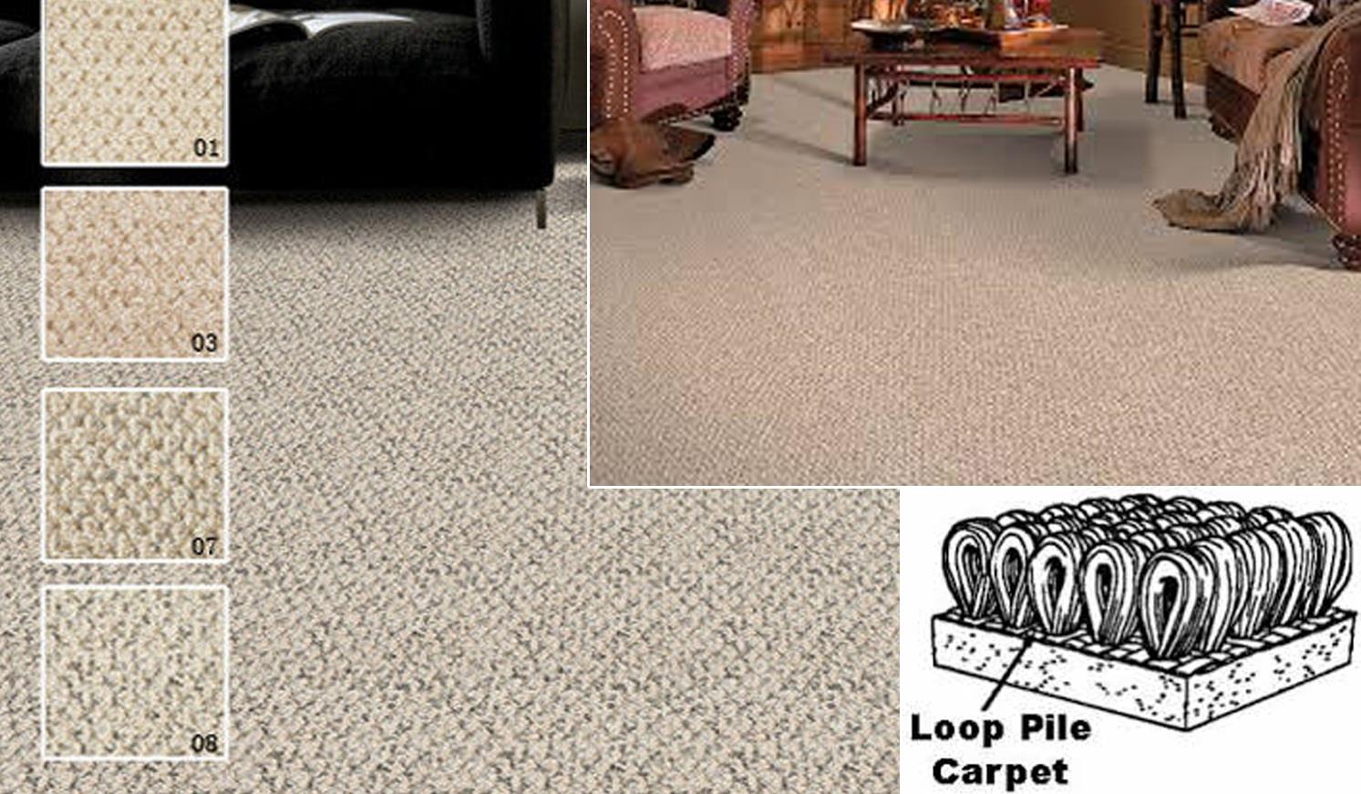Loop Pile Carpet Collection Best And End 4 12 2017 1 19 Pm Loop Pile Carpet Collection Best And Cheap In Malaysia