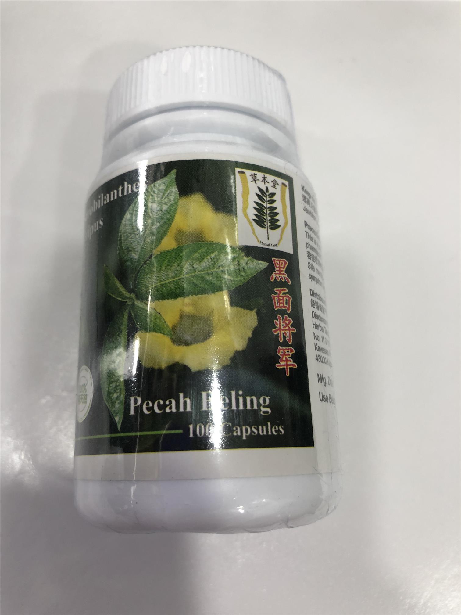 STROBILANTHES CRISPA PECAH BELING CAPSULE 100 CAPSULE A BOTTLE STROBILANTHES CRISPA PECAH BELING CAPSULE 100 CAPSULE A BOTTLE