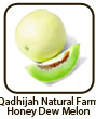 Qadhijah Natural Farm Honey Dew Melon (Tembikai Susu) Seeds 1gsm