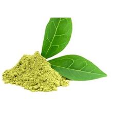 Green Tea Extract 10g