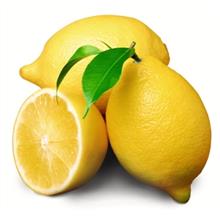 Lemon Bargain Fragrance 10g Sample Pack