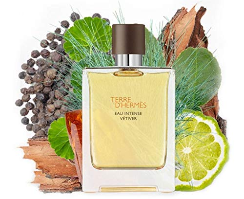 terre intense vetiver