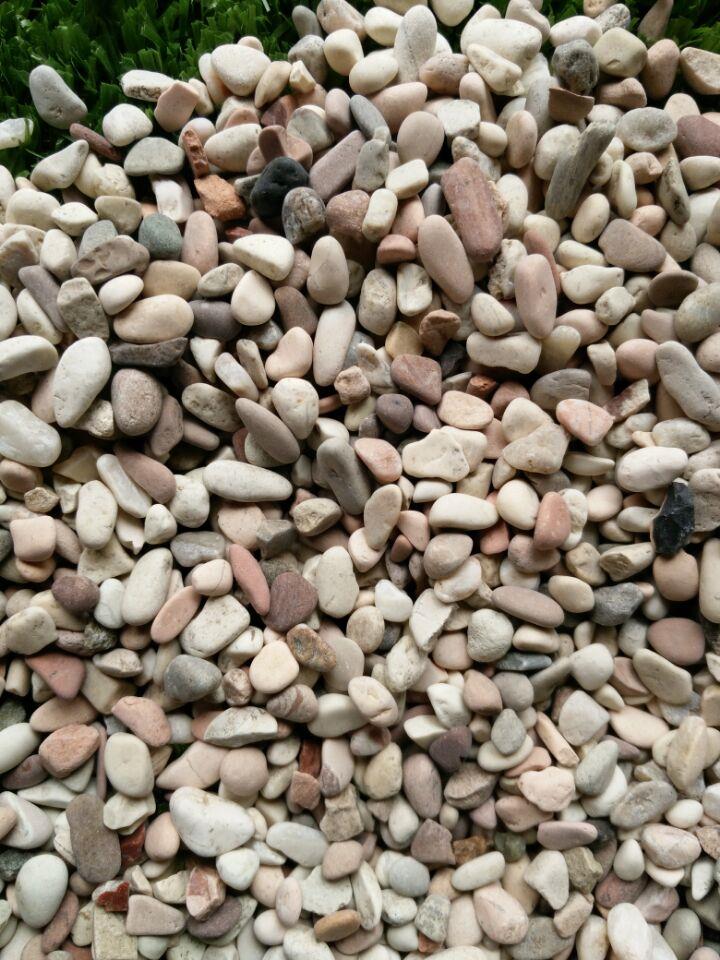 2KG 5 MM MIX COLOR PEBBLE WASH  STON end 12 20 2022 5 15 PM 