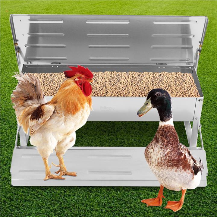 4 7kg Automatic Chicken Feeder Tread End 8 21 2020 1 15 Pm