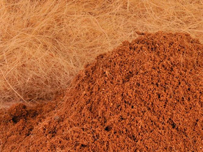 400g COCONUT HUSK (POWDER) FOR PLANT (end 2/25/2019 3:15 PM)