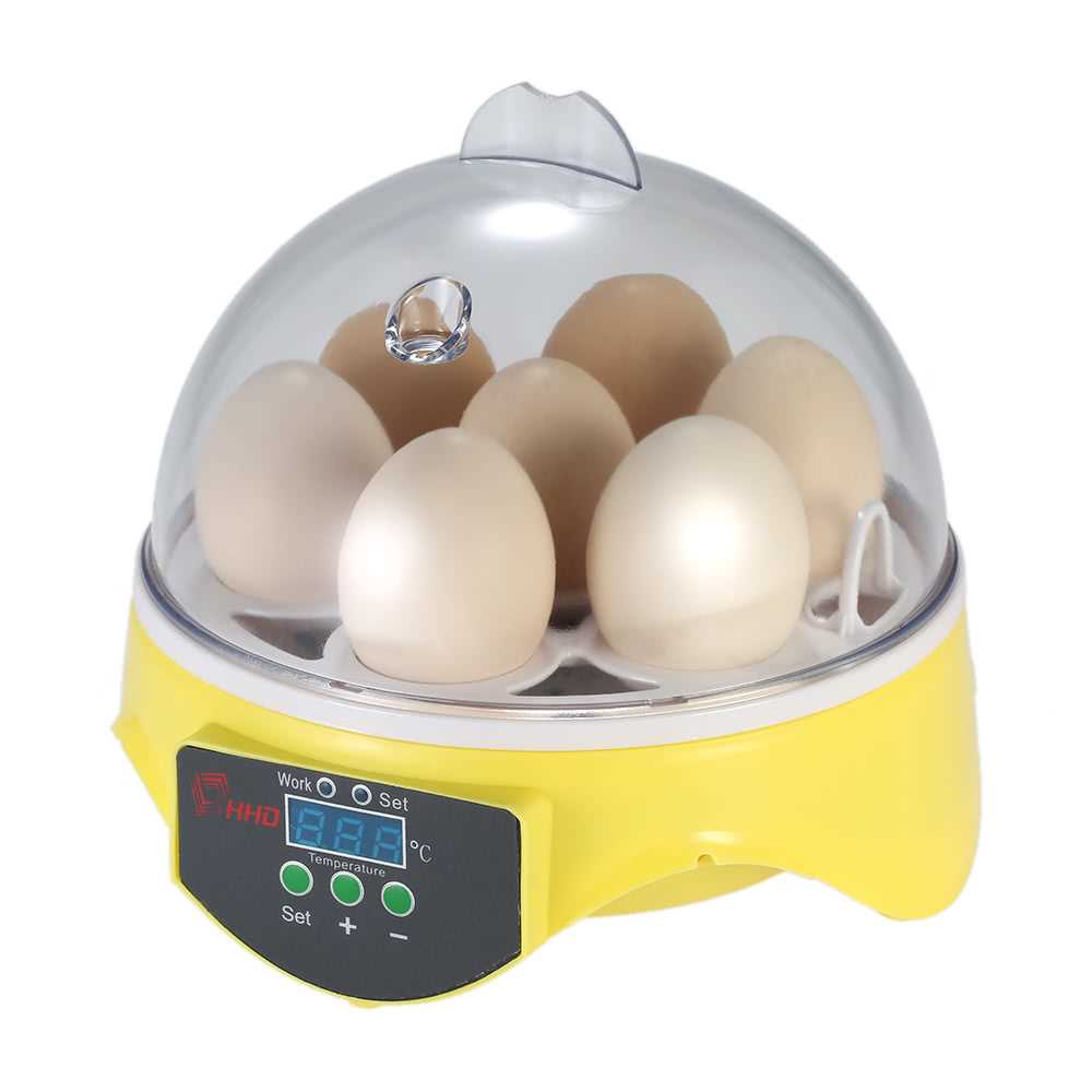 7 Eggs Mini Digital Egg Incubator (end 12/11/2021 12:00 AM)