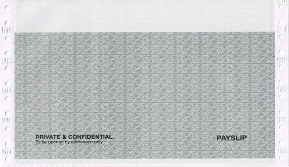 Access UBS Payroll Payslip - Dot Matrix 1000 pcs - 1 Box