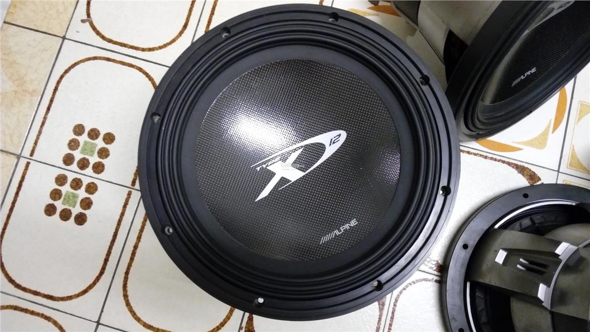 Alpine type x 12