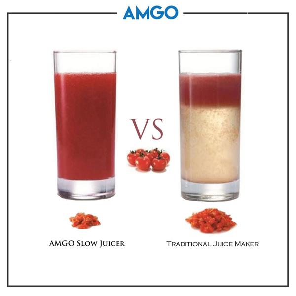 AMGO Slow Juicer 100% Fruit Juice Extraction /Juice Maker / Blender