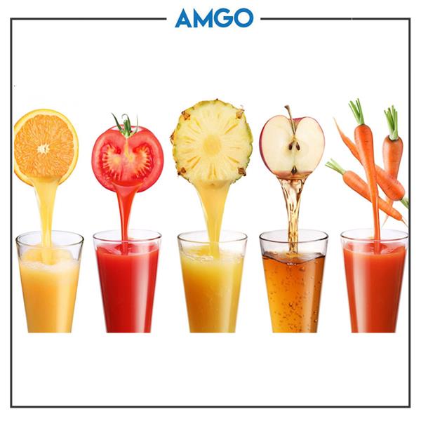 AMGO Slow Juicer 100% Fruit Juice Extraction /Juice Maker / Blender