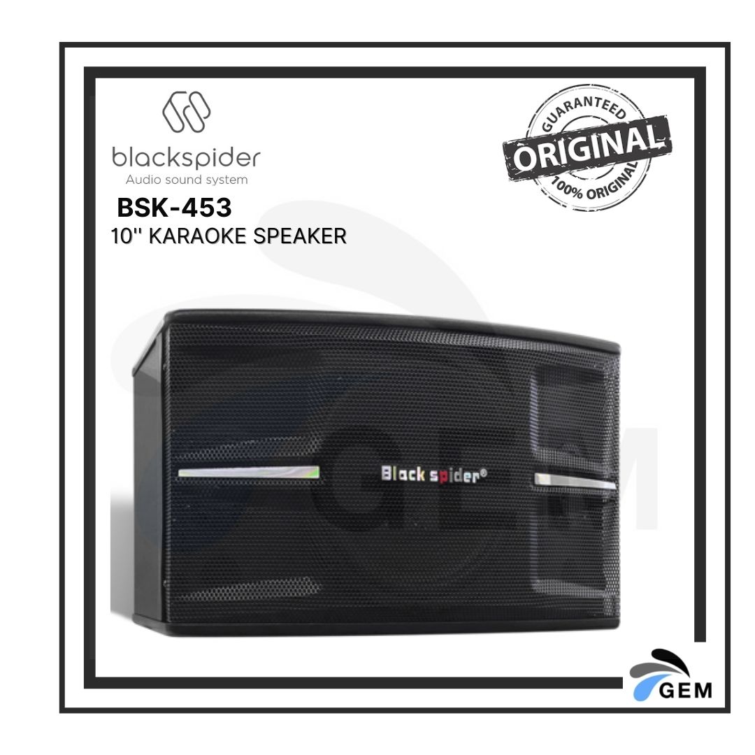 BLACK SPIDER 10&quot; Karaoke Speaker (BSK-453)