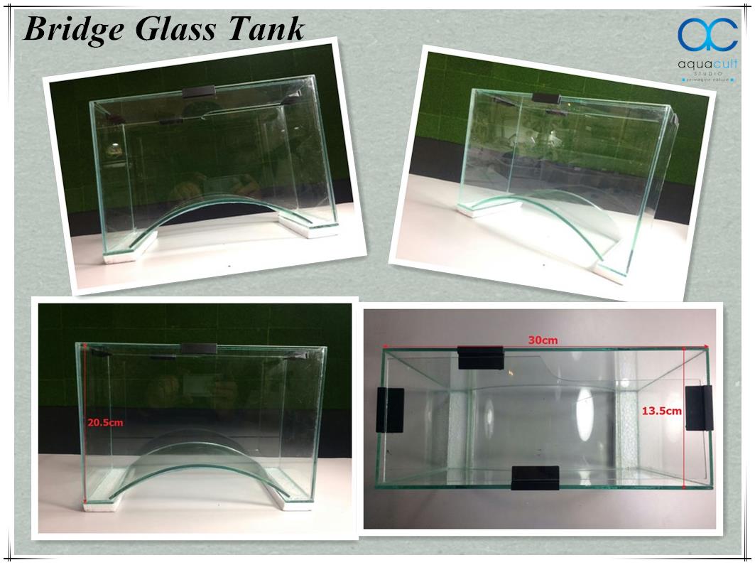 Bridge Glass Tank Aquascape Aquat End 2 24 2020 7 15 Pm Bridge Glass Tank Aquascape Aquatic Plant Vivarium Fish