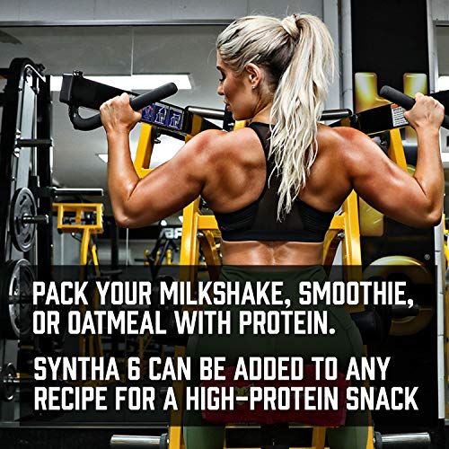 Bsn Syntha 6 Whey Protein Powder End 11 22 21 12 00 Am