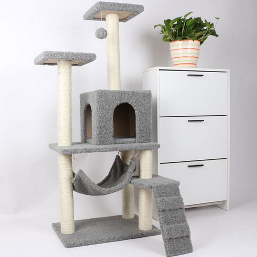 cat climbing house