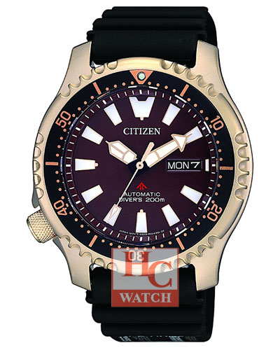 citizen 200m automatic