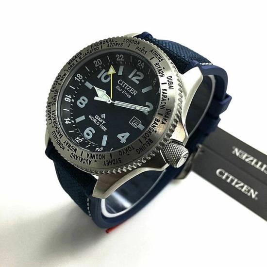 citizen promaster world time
