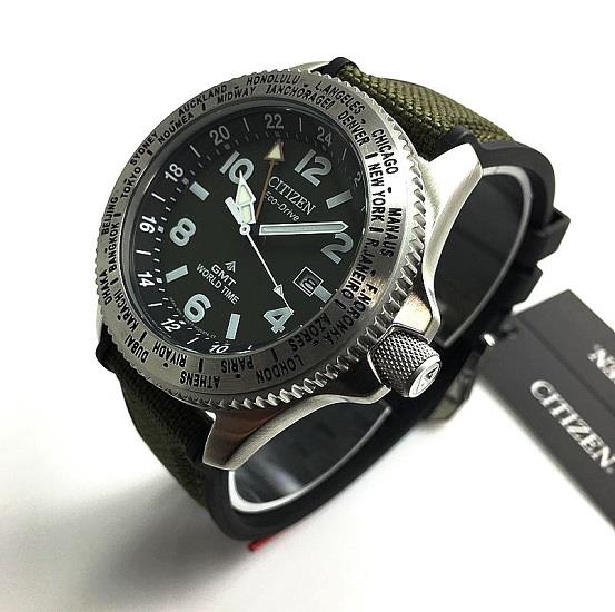 citizen promaster world time