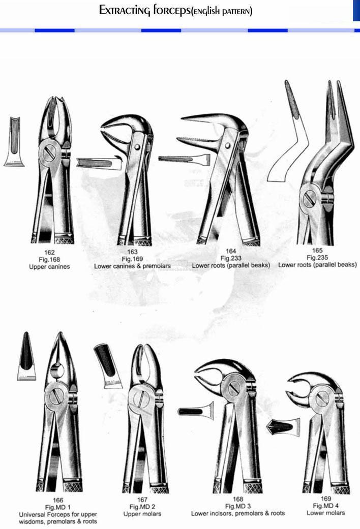 Dental Extracting Forceps 164 (Fig 233) - Lower Roots (parallel beaks)