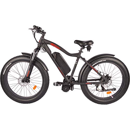 the dj 750w 48v 13ah fat bike