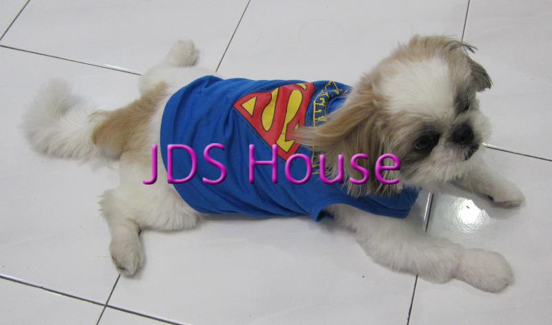 Dog pets puppies pet clothes T Shir (end 10/16/2020 7:32 PM)