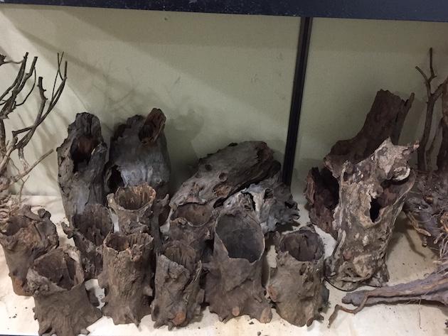 driftwood trunk bark medium