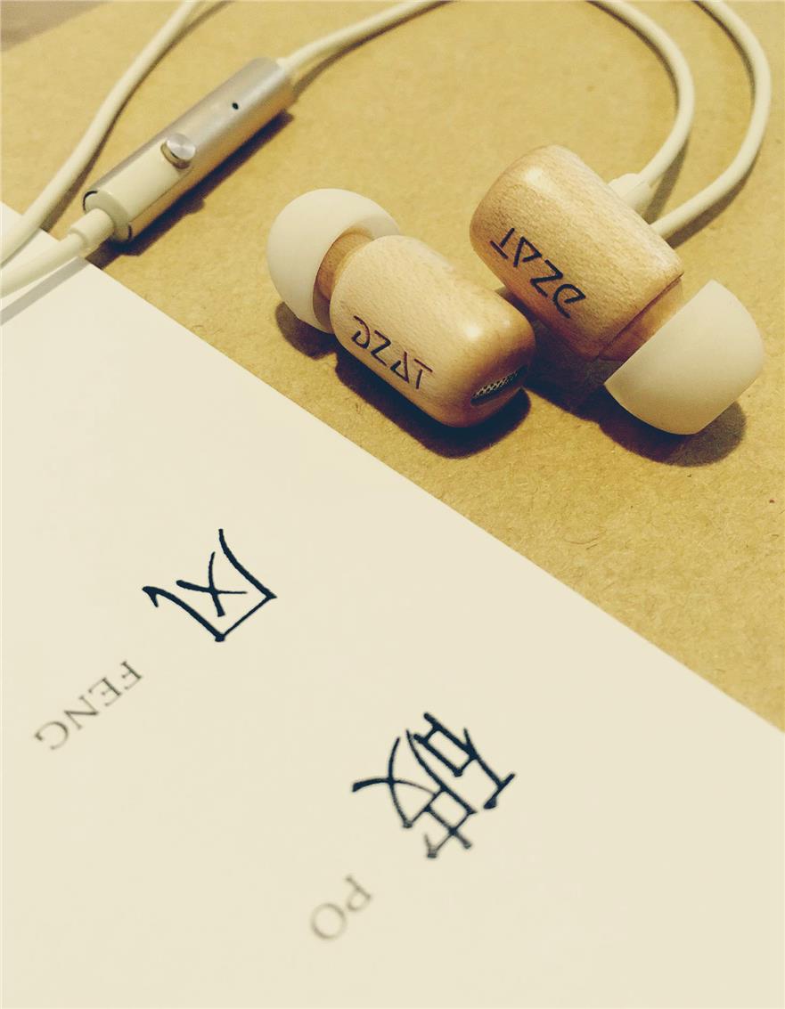 DZAT DF-10 / DF10 Solid Wood IEM / earphone / Birthday Present / Gift