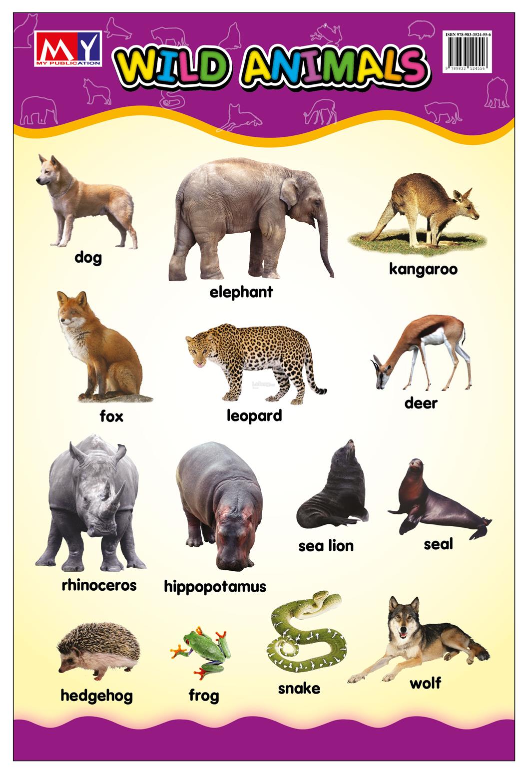 Education Poster  Wild  Animals  end 3 2 2022 10 15 AM 