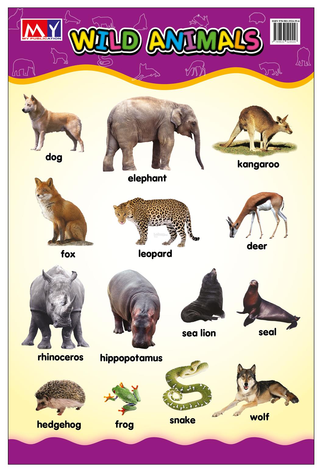 Education Poster  Wild Animals end 3 2 2022 10 15 AM 