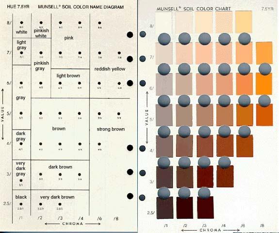 Munsell Color Chart