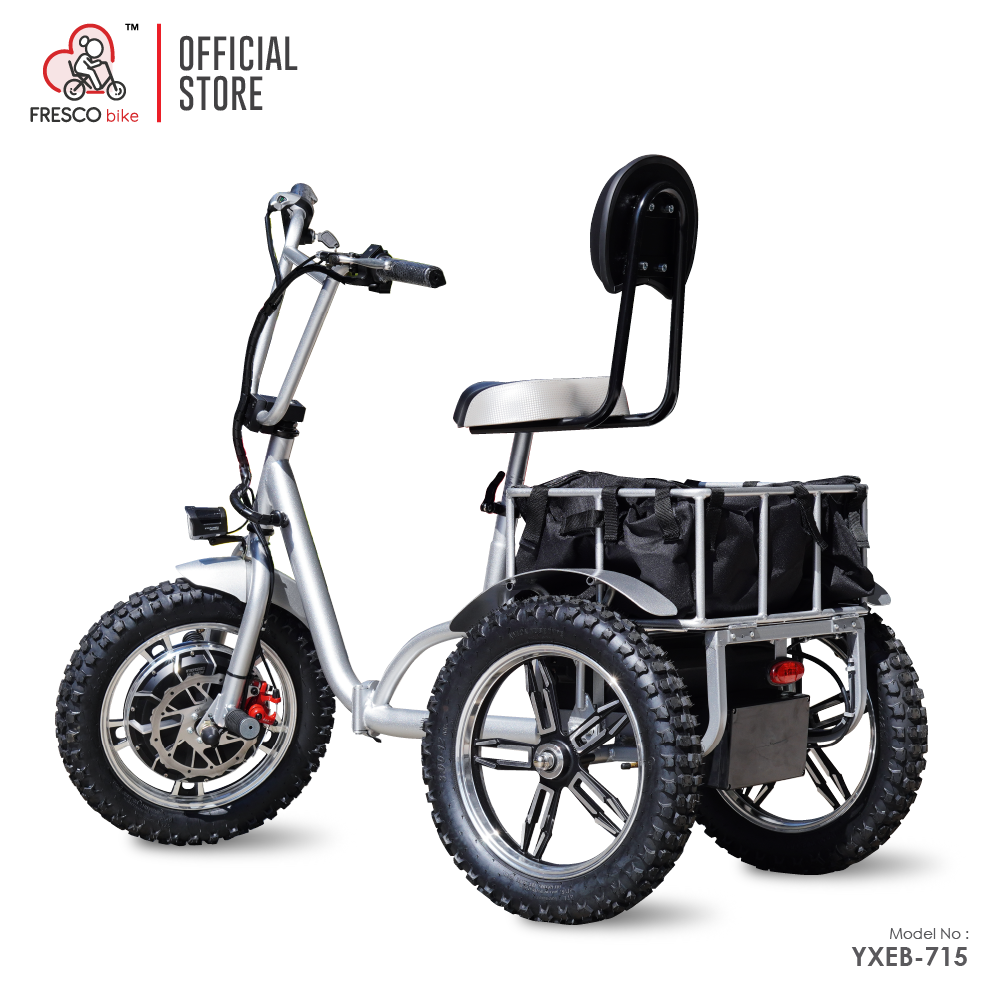 Electric Scooter 3 Wheel Folding 500W for Elderly
