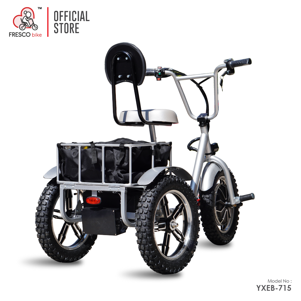 Electric Scooter 3 Wheel Folding 500W for Elderly
