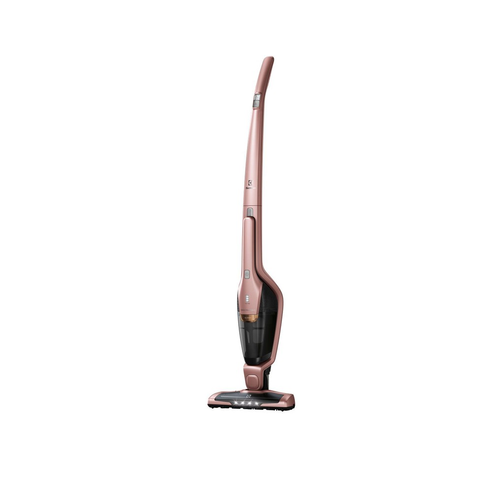 Electrolux ZB3314AK Rechargeble Cordless Vacuum Cleaner (2018 New Model)
