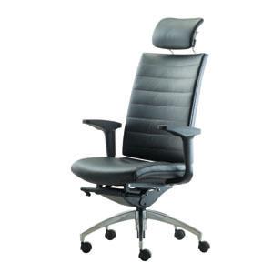 Euro Ergonomic Office Chair Alu End 9 1 2018 12 00 Am Euro Ergonomic Office Chair Alude Ms2510l 22m1 Leather