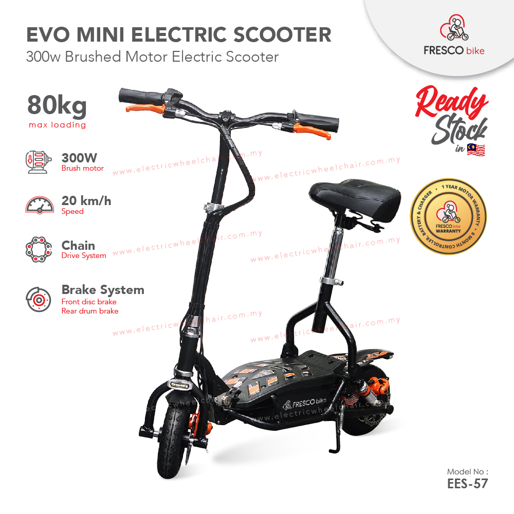 Evo Electric Scooter Bike 300W