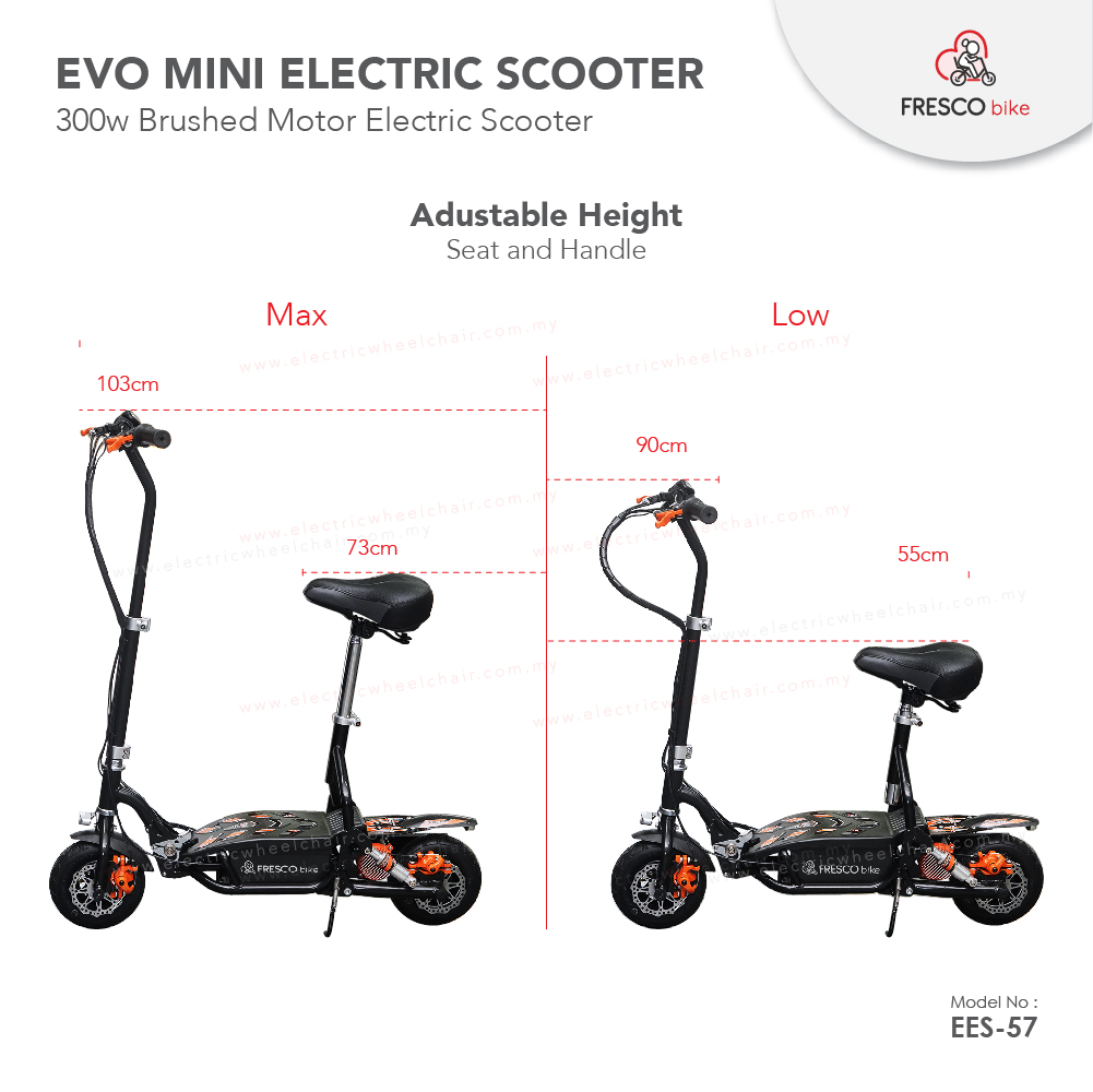 Evo Electric Scooter Bike 300W