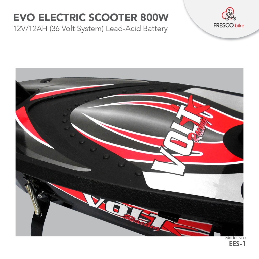 EVO Electric Scooter Bike 800W