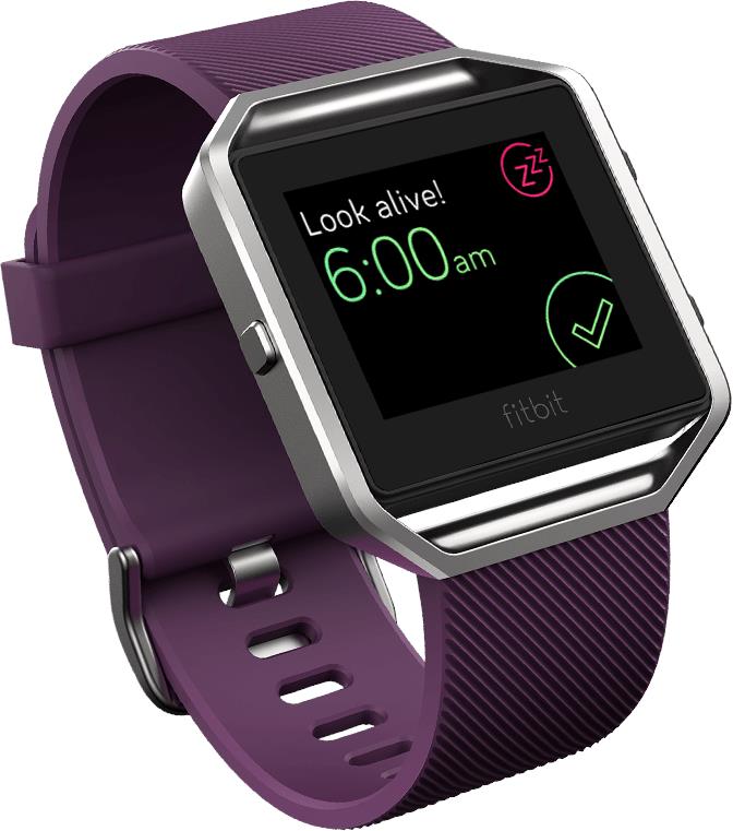 fitbit 502