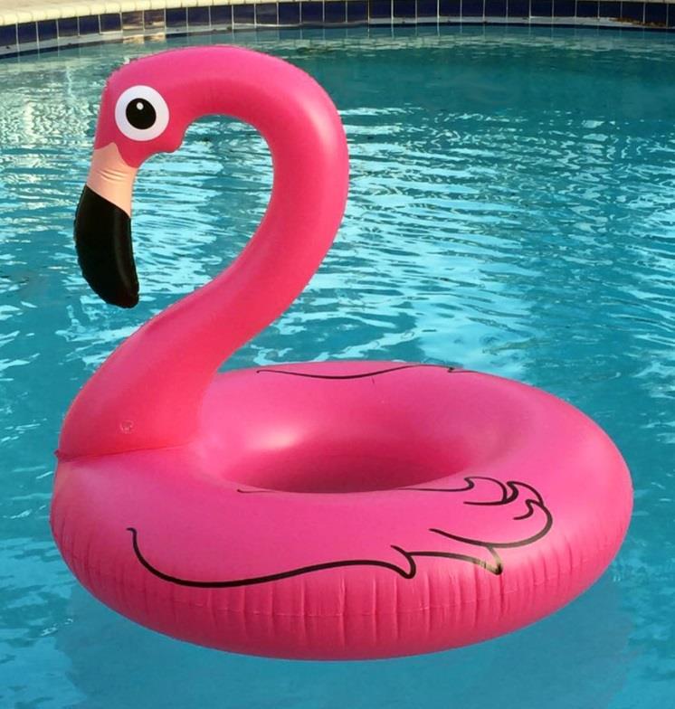 Image result for pool flamingo