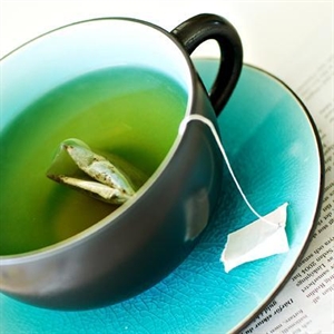Green Tea Flavour 10g Sample Pack