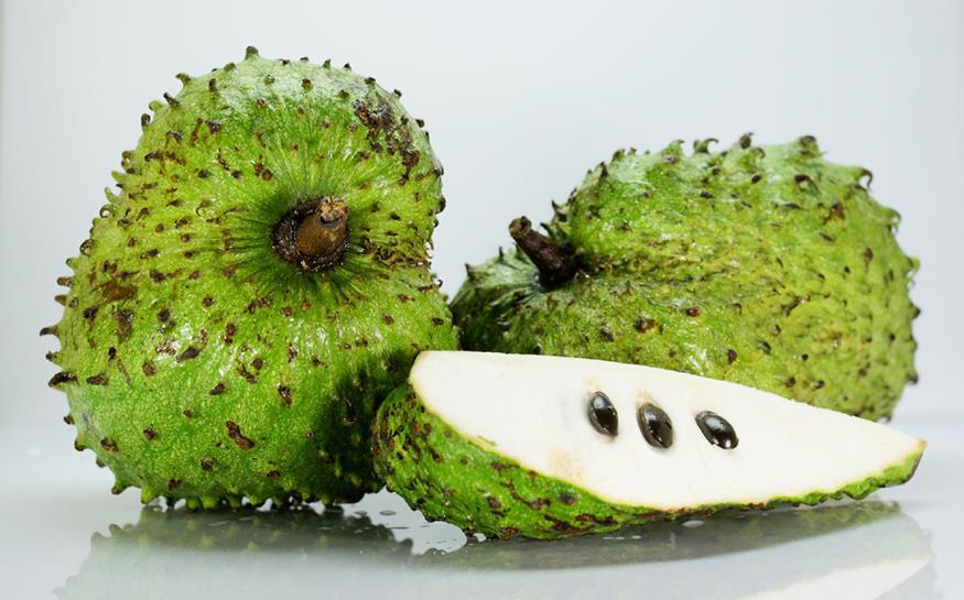 Image result for soursop