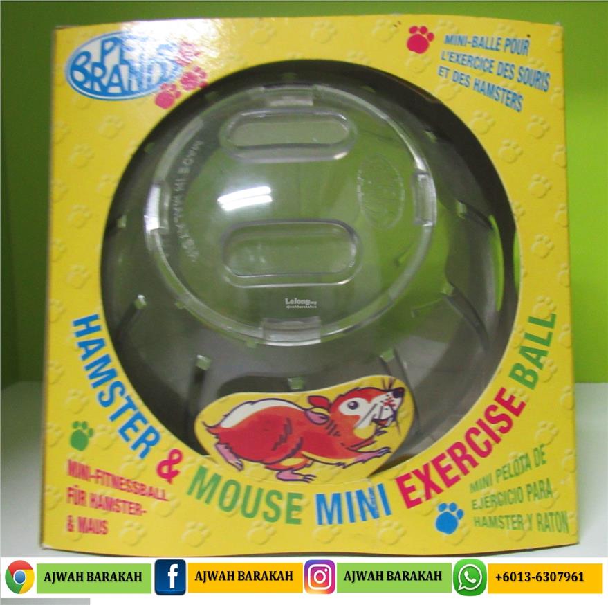 HAMSTER & MOUSE MINI EXERCISE BALL (end 5/9/2019 2:15 PM)