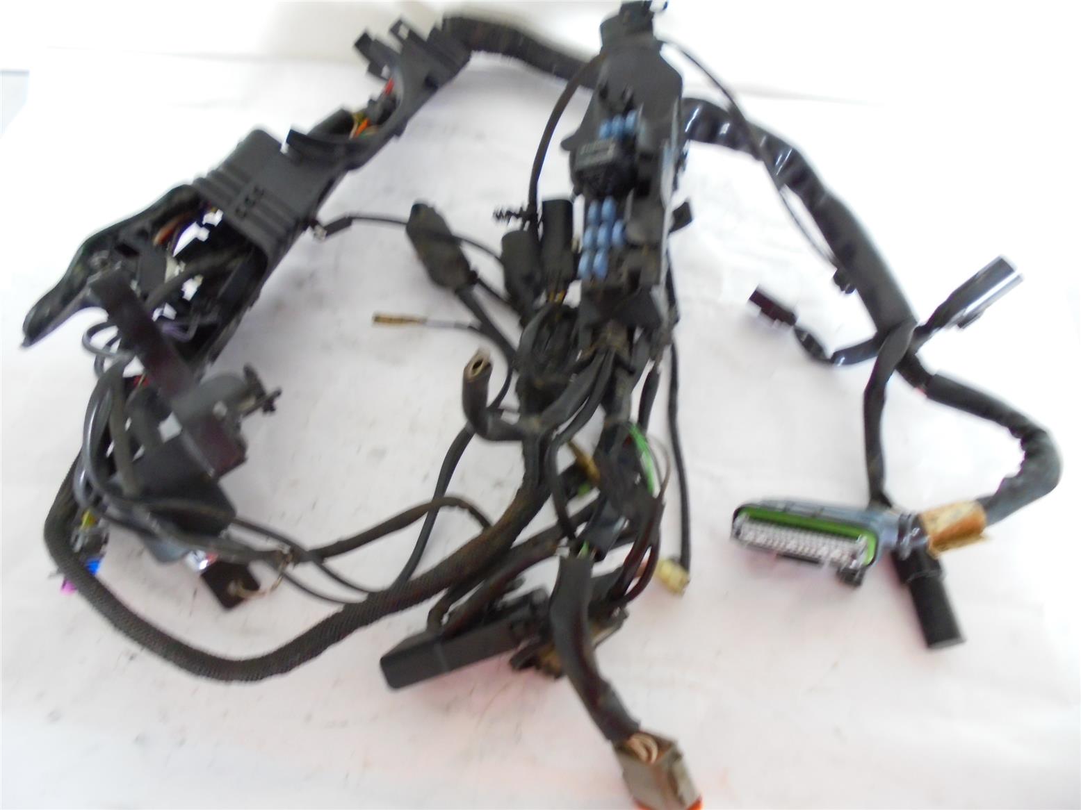 Harley Wiring Harnes