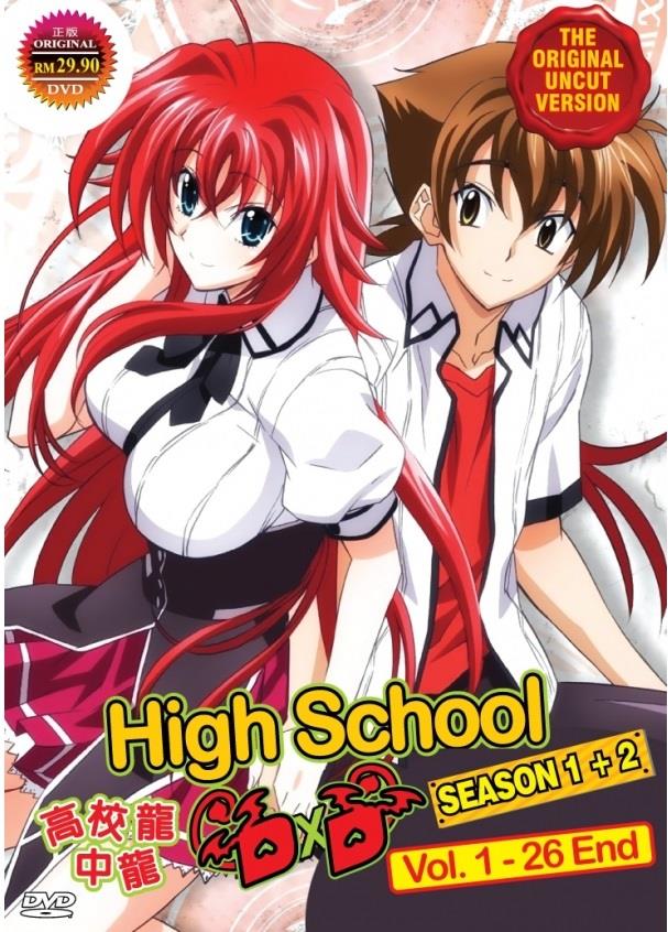 Image result for TV show High School DxD