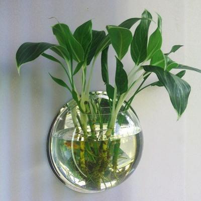 Home Decoration Pot Wall Hanging Moun End 2 8 2018 15 Pm - Wall Hanging Mount Bubble Aquarium Bowl Fish Tank Home Decoration Pot Wall Hanging Moun End 2 8 2018 15 Pm - Wall Hanging Mount Bubble Aquarium Bowl Fish Tank