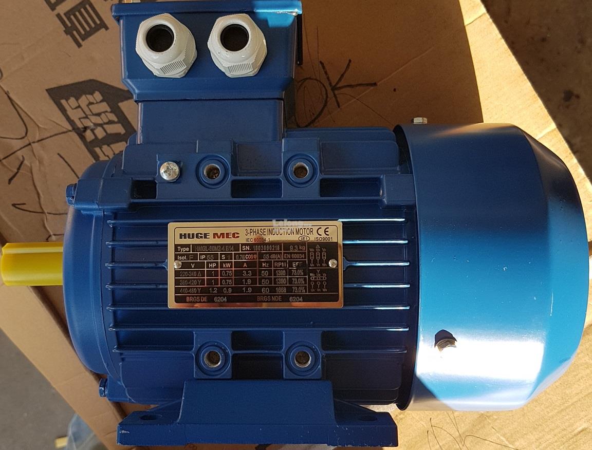 Электродвигатель motors. Induction Motor 3-phase 00543 4 полюса 3,7 КВТ. Induction Motor (индукционный двигатель) s8i25gx-TC. 3 Phase Induction Motor. Двигатель 1 phase Induction Motor dl2200a на циркулярку.