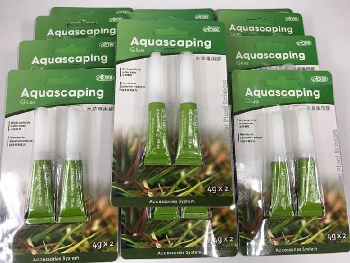 aquascaping glue