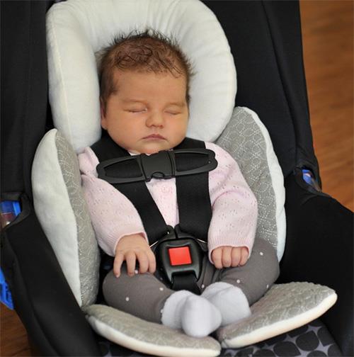 JJ Cole Baby Head Body Support Pillow Car Seat  &amp; Stroller Ready Stock