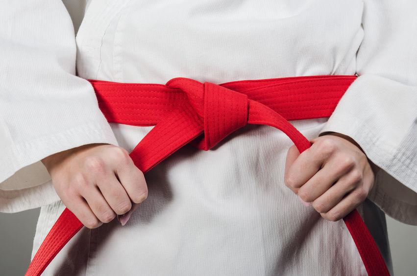 Karate Taekwondo Kempo TangSooDo Kendo Silat Judo Martial Art Belt